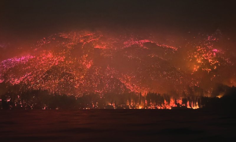 La Patagonia en llamas: una tragedia que vuelve a repetirse